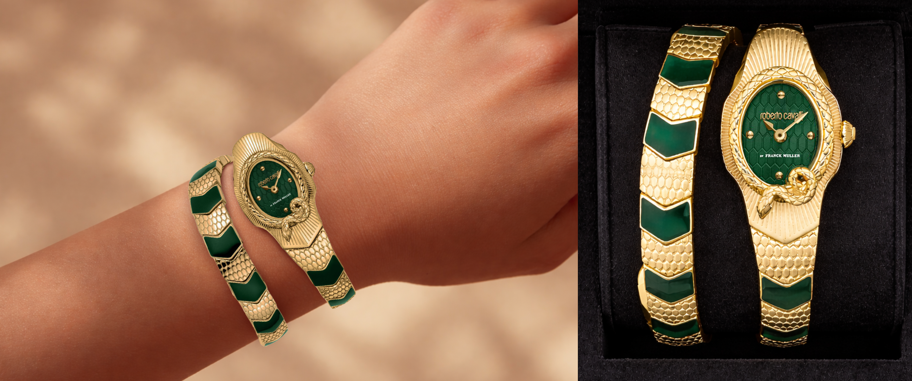Wild Prints, Fierce Time: Exploring the Signature Style of Roberto Cavalli Watches | Helios
