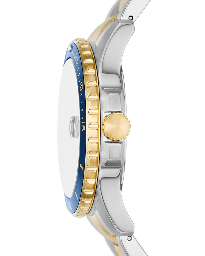 Buy Fossil Men Fossil Blue Dive Round Blue Watch fs6034 at Helios