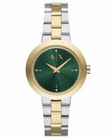 Armani Exchange Women JACKIE Green Analog Quartz watch SKU ID AX5176 Helios The Watch Store
